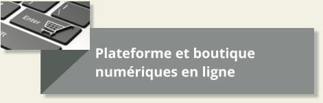 Plateforme et boutique numériques en ligne
